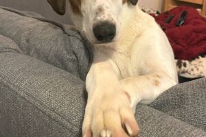 jeanny von privat 1