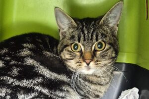 keanu IMG 01 keanu IMG 01