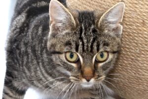 keanu IMG_2173we keanu IMG_2173we