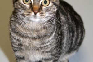 keanu IMG_2262we keanu IMG_2262we