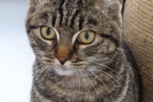 kenau IMG_2178we kenau IMG_2178we