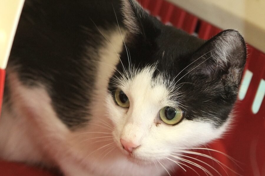 leila IMG_4342we leila IMG_4342we