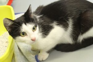 leila IMG_4349we leila IMG_4349we