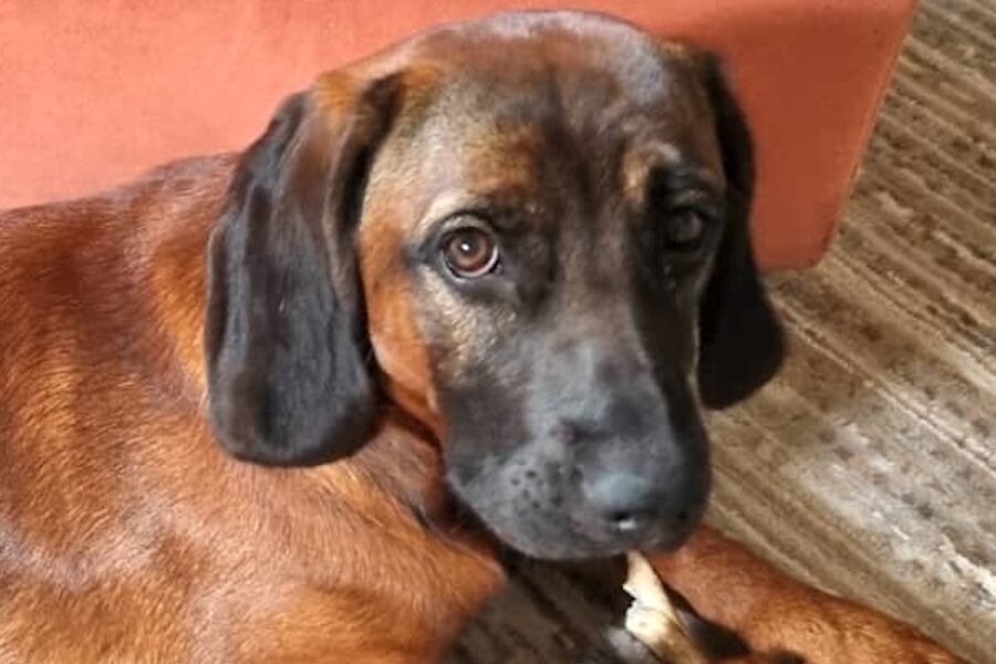 lenny von privat 02