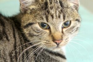 lola IMG_4341we lola IMG_4341we