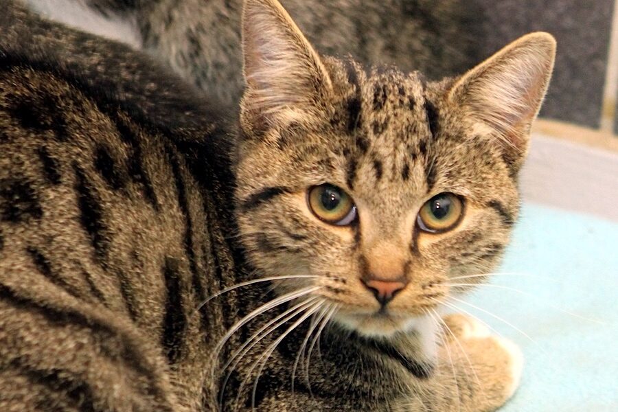 lola IMG_4350we lola IMG_4350we