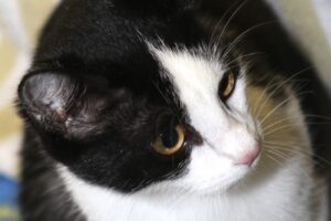 lulu IMG_4316we lulu IMG_4316we