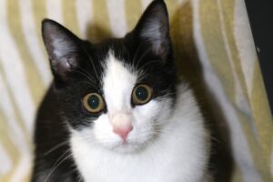 lulu IMG_4317we lulu IMG_4317we