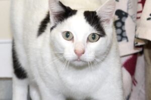 mikesch becks IMG_4245we