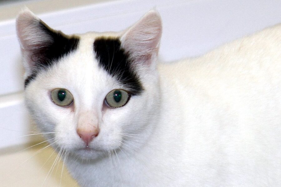 mikesch becksIMG_4247web