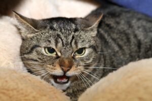 mila IMG_1593we