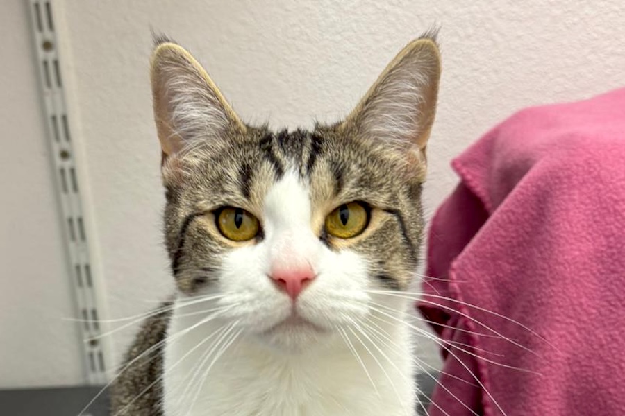 minik junior IMG_002 minik junior IMG_002