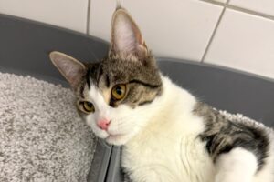 minik junior IMG_004 minik junior IMG_004