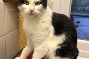 minik junior IMG_007 minik junior IMG_007