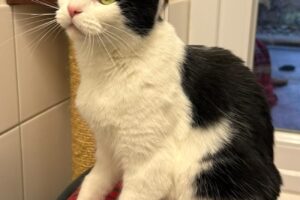 minik junior IMG_009 minik junior IMG_009