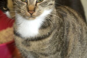 minik und junior IMG_5280we minik und junior IMG_5280we