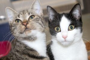 minik und junior IMG_5289we minik und junior IMG_5289we