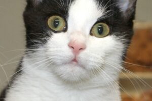 minik und junior IMG_5297qw minik und junior IMG_5297qw