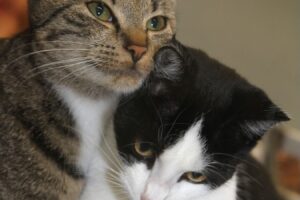 minik und junior IMG_5300we minik und junior IMG_5300we