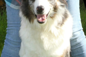 otto von privat IMG_1860we