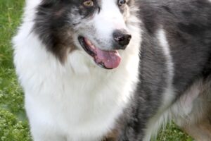 otto von privat IMG_1869we