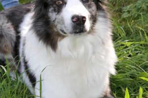 otto von privat IMG_1872we