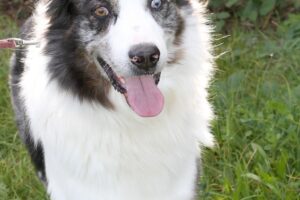 otto von privat IMG_1875we