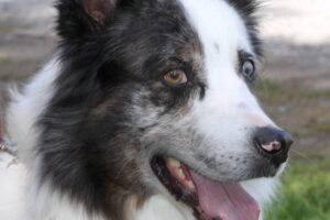 otto von privat IMG_1887we