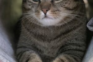 paco mailo privat IMG_1290