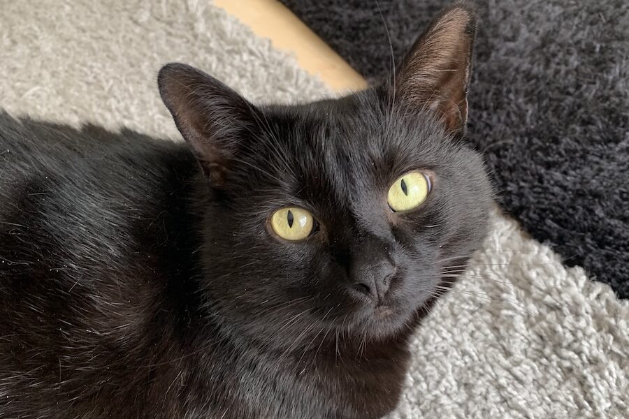 paco mailo privat IMG_2130 paco mailo privat IMG_2130