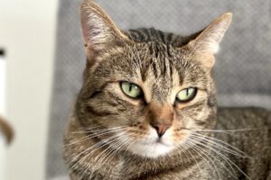 paco mailo privat IMG_9813 paco mailo privat IMG_9813