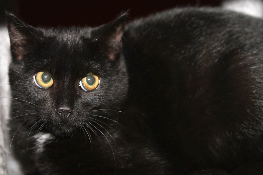 peter IMG_2337we peter IMG_2337we