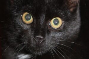 peter IMG_2338we peter IMG_2338we