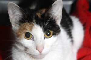 suki IMG_1708we