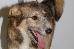 toby IMG_1726we