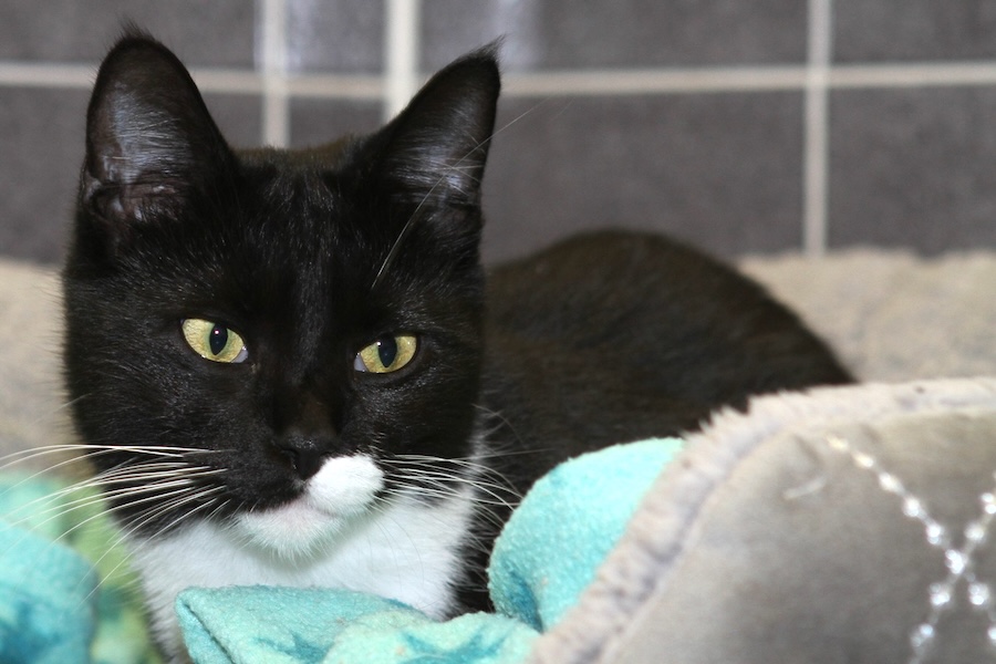 venus IMG_4161we venus IMG_4161we