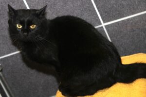 werner IMG_4366we werner IMG_4366we