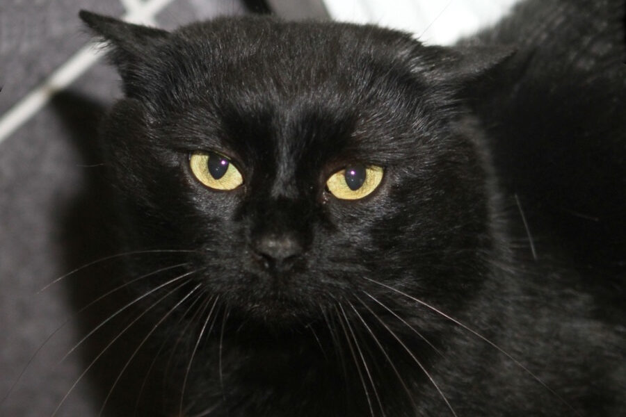 werner IMG_4367we werner IMG_4367we