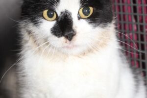 wilma IMG_4224we wilma IMG_4224we