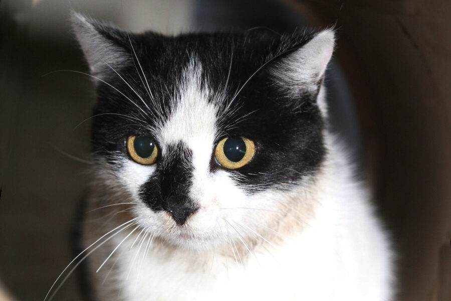 wilma IMG_4365we wilma IMG_4365we