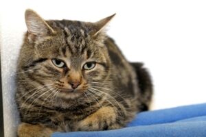 xanthos und xanthippeIMG_4158we xanthos und xanthippeIMG_4158we