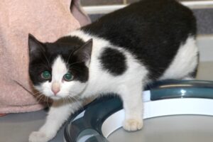 Andira beistein sw kind IMG_5024we Andira beistein sw kind IMG_5024we