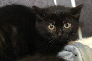 Florenz fantasia IMG_5456we