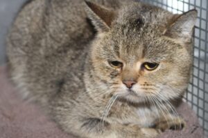 Greta IMG_5387we Greta IMG_5387we