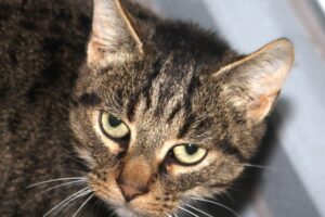 alicia IMG_4543we alicia IMG_4543we