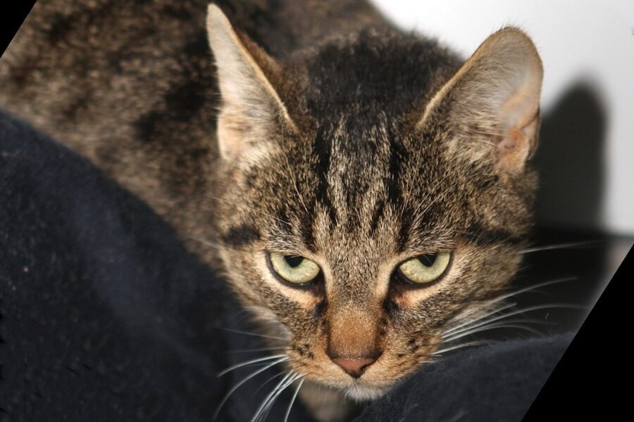 alicia IMG_4544we alicia IMG_4544we