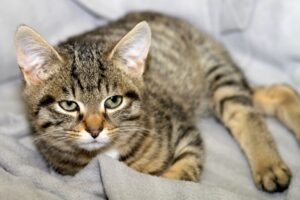 aurelia anthony IMG_4542we aurelia anthony IMG_4542we