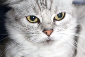 baby IMG_5313we baby IMG_5313we