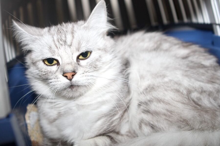 baby IMG_5316we baby IMG_5316we