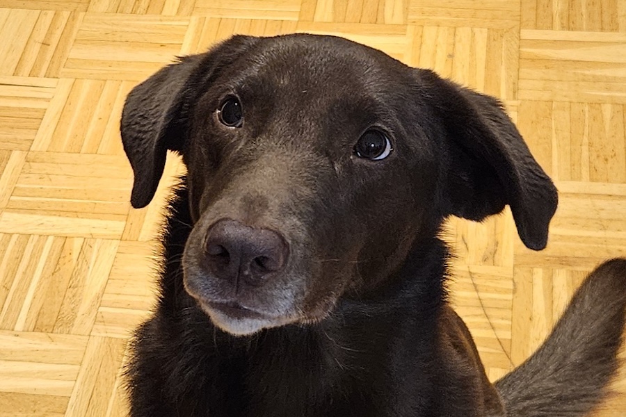 balu IMG_03 balu IMG_03